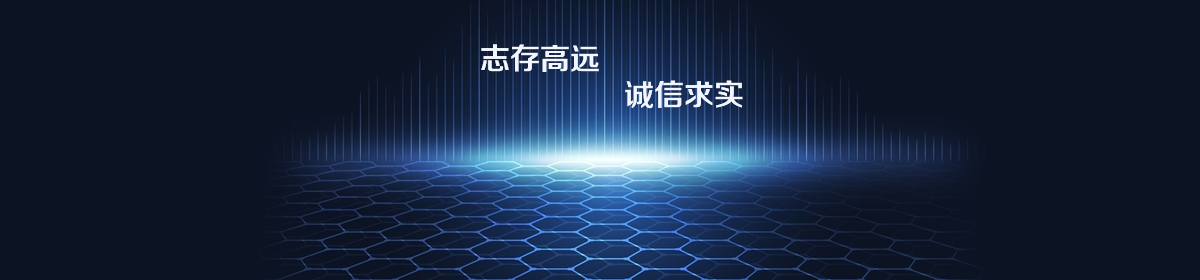 典型业绩